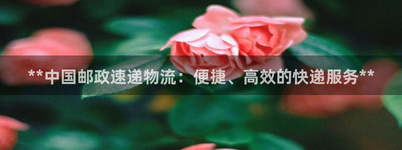 28圈取保