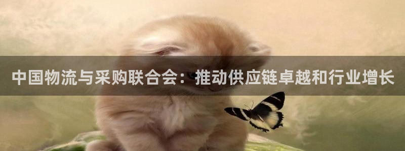 28圈下载二维码