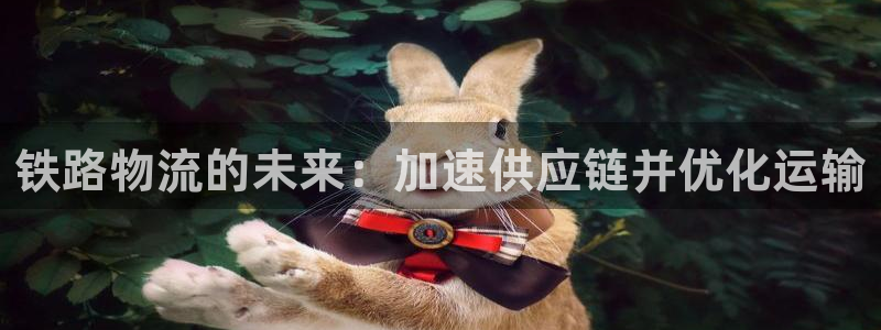 28圈p图上分下款通道