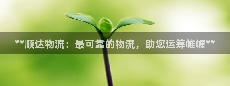 28圈选28ng官网