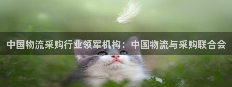 28圈游戏官网版