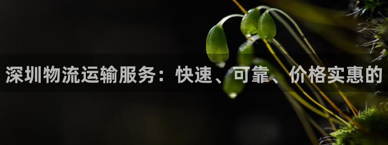 28圈软件总是闪退怎么回事