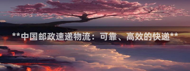 28圈官网版2024