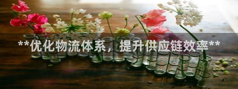 28圈.ccmpc预测