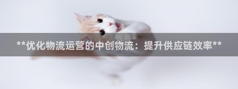28圈充值不处理