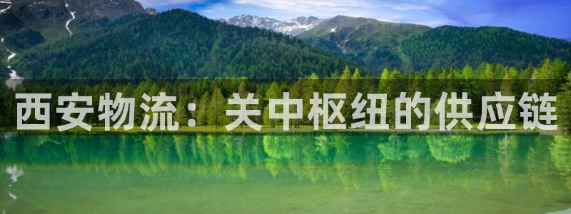 28圈提现不到账