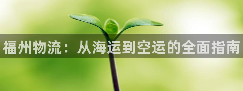 28圈反水怎么算