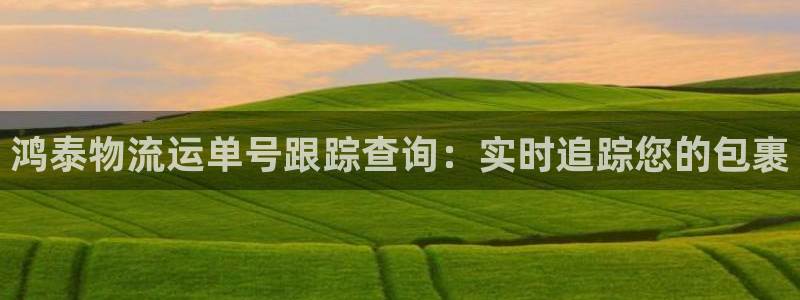 28圈官网开奖结果预测