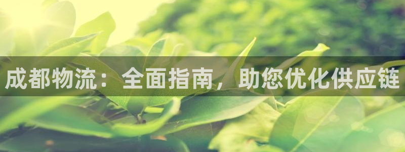 28圈电子游戏
