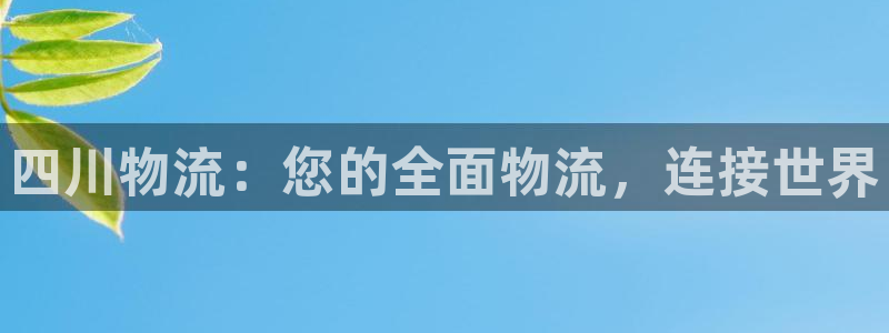 28圈加拿大是什么意思