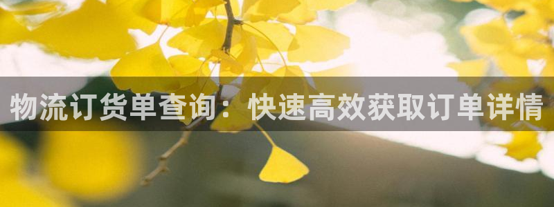 28圈在线预测