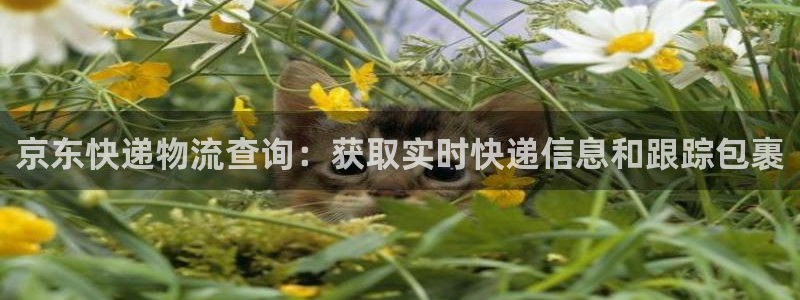 28圈体育下载