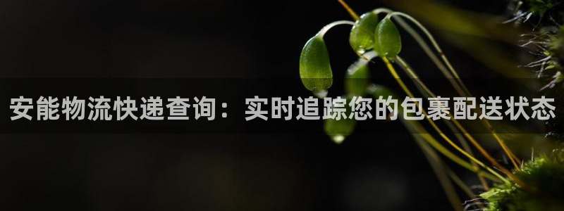 28圈官网版所有版本