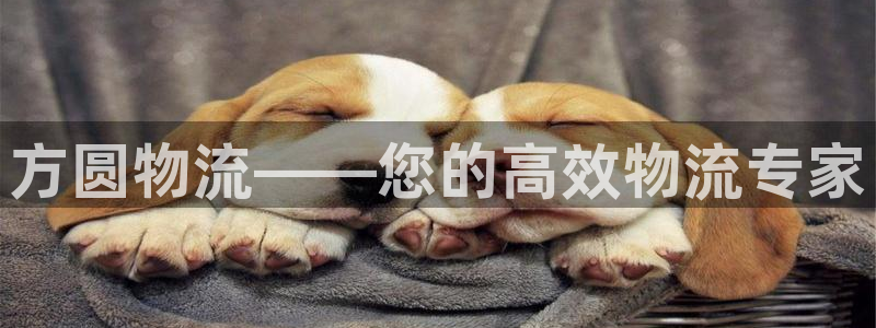 28圈反水