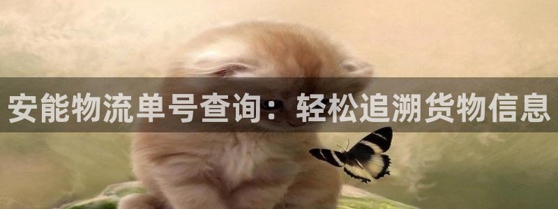 28圈连接