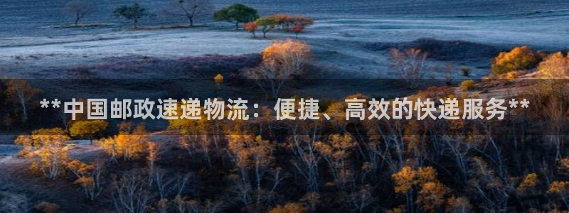 28圈分分28输了能不能退