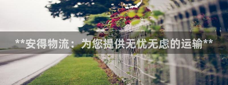 28圈官方平台