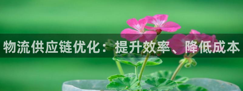 28圈客服一直不回消息怎么办