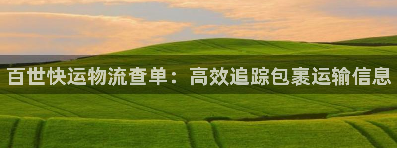 28圈辅助