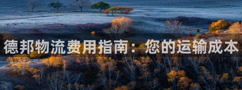 28圈电子游戏
