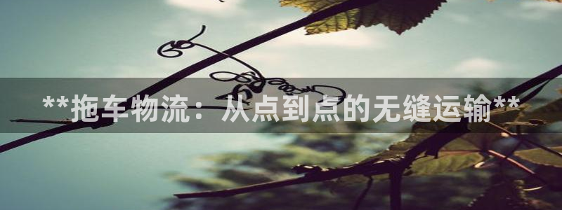28圈赌博软件正规吗