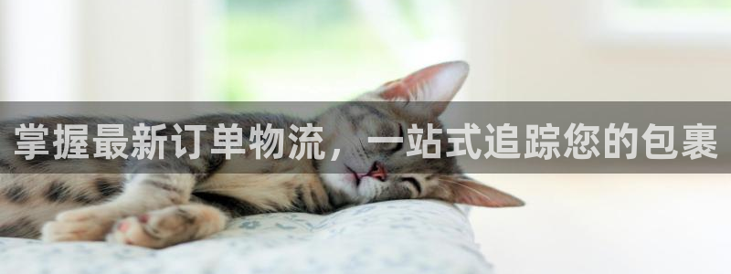 28圈连输10天
