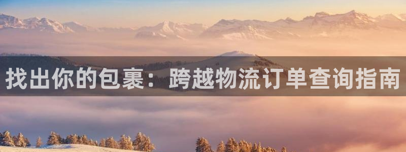 28圈预测