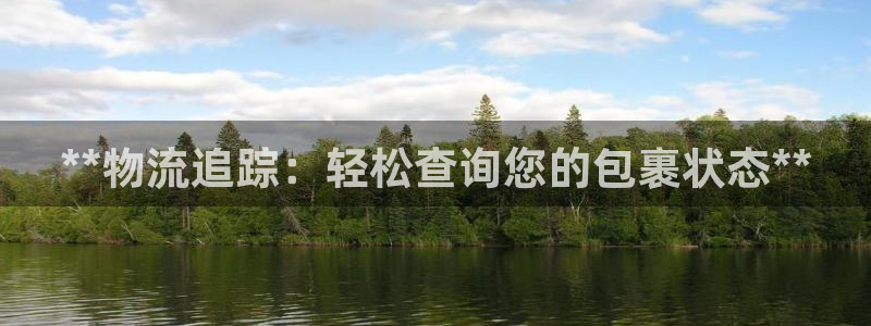 28圈在线预测