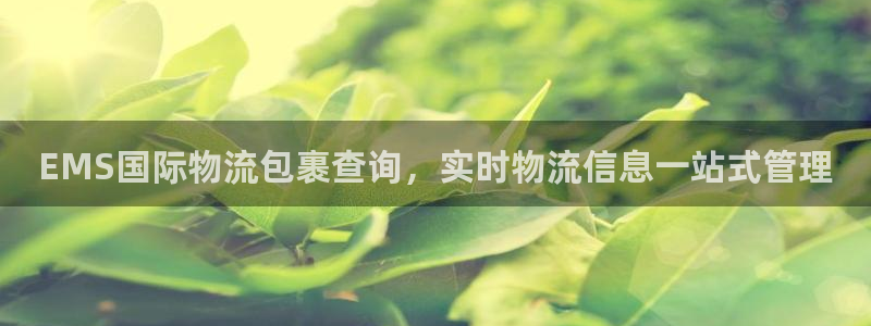 28圈里的财神