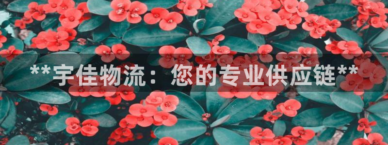 28圈大神预测