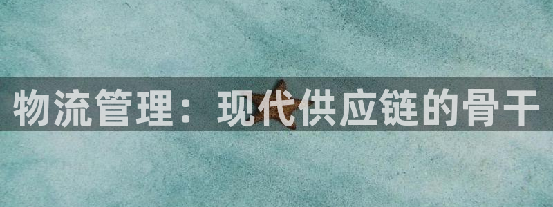 28圈在线预测官网