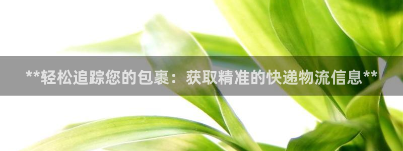 28圈加拿大6.0