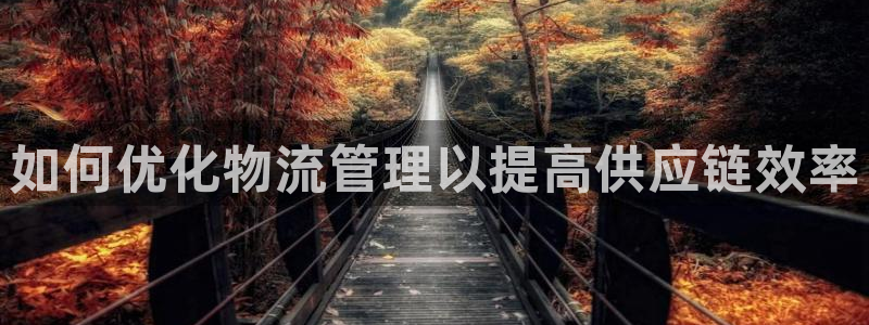 28圈官方官网版