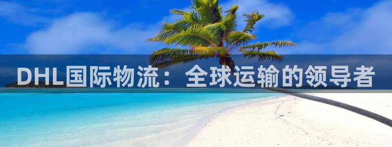 28圈黑款