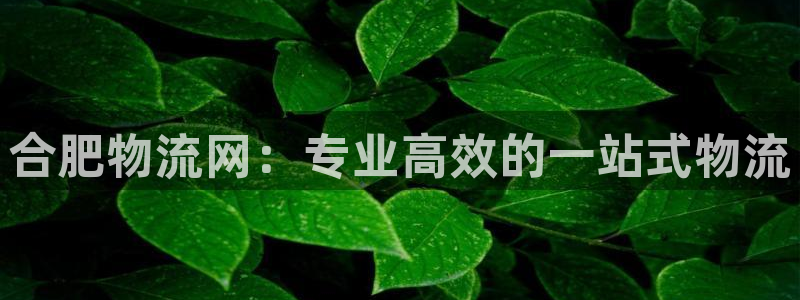 28圈.ccmo