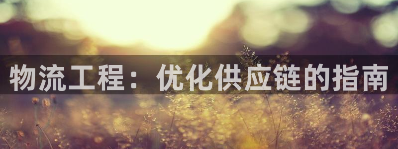 28圈加拿大技巧