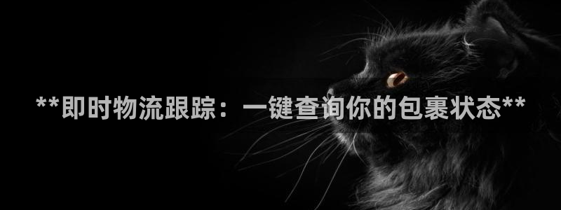 28圈预测加拿大师准