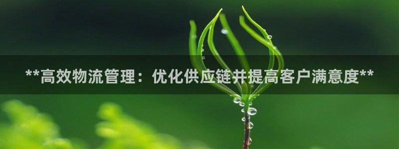 28圈充值不到账怎么回事