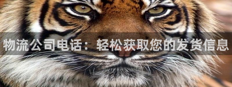 28圈加拿大走势