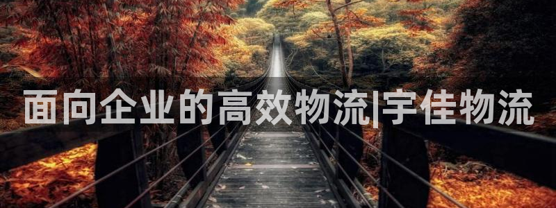 28圈ip被限制怎么解决