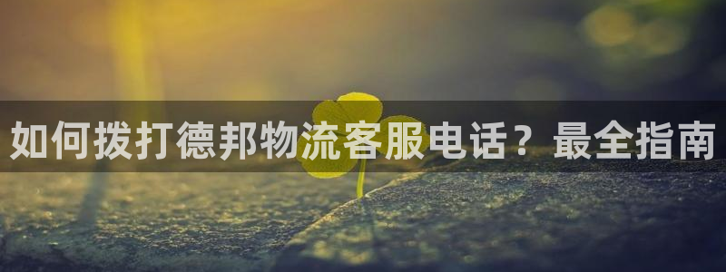 28圈百度百科