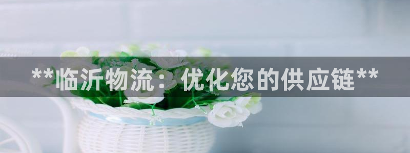 28圈ccm游戏