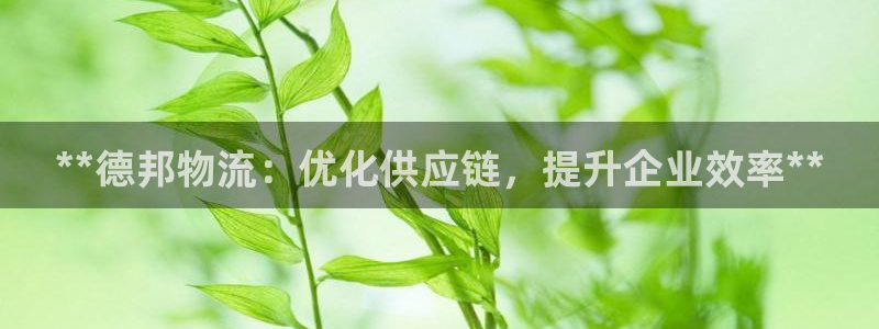 28圈娱乐官网网页下载