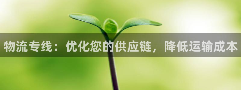 28圈下载体育