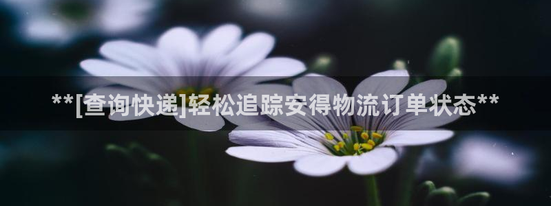 28圈网赌有什么风险