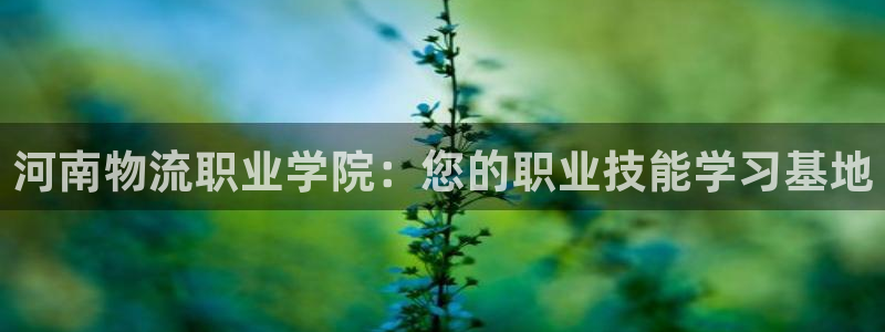 28圈免费充钱