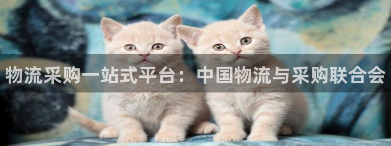 加拿大28圈是什么
