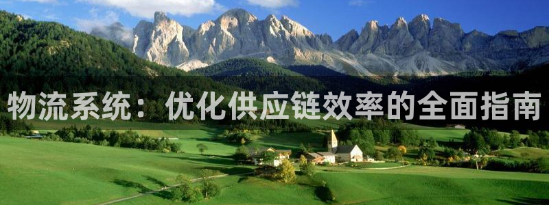 28圈登录：物流系统：优化供应链效率
