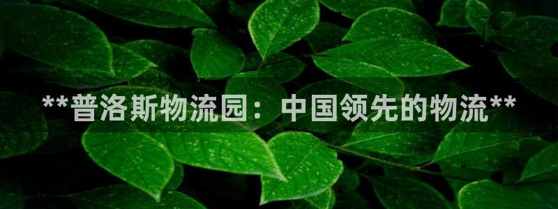 28圈p图上分下款通道