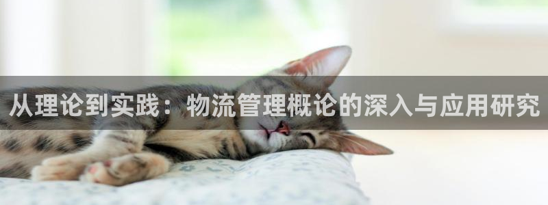 28圈游戏
